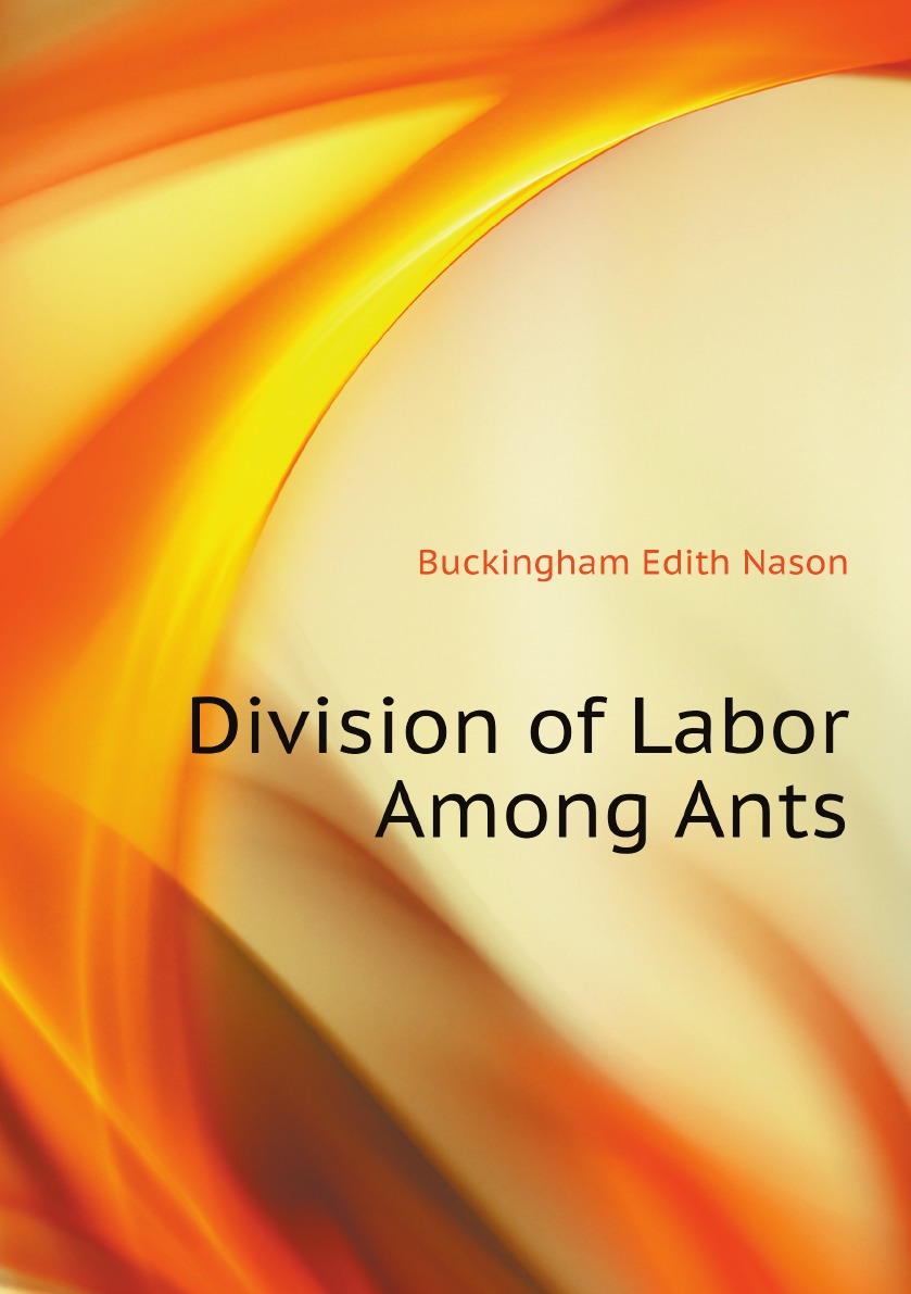 

Division of Labor Among Ants