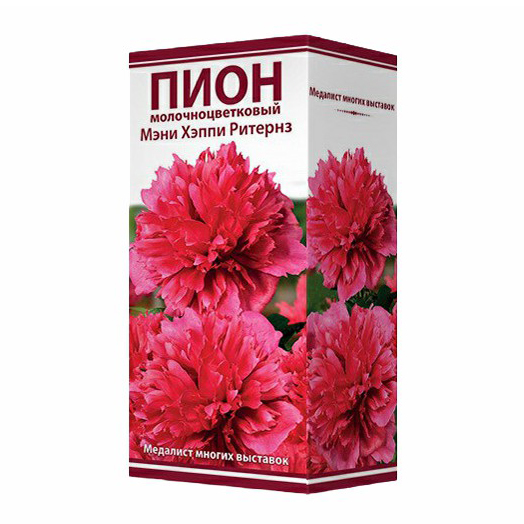 

Саженцы пион Поиск Мэни Хэппи Ритернз 1 шт.