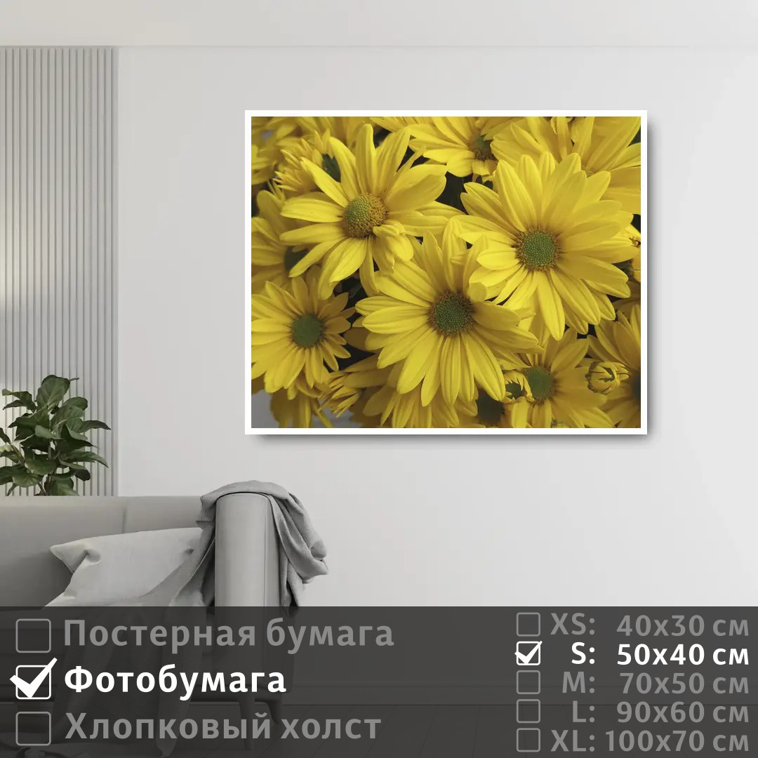 

Постер на фотобумаге ПолиЦентр Желтые цветки хризантемы 50х40 см, ЖелтыеЦветкиХризантемы