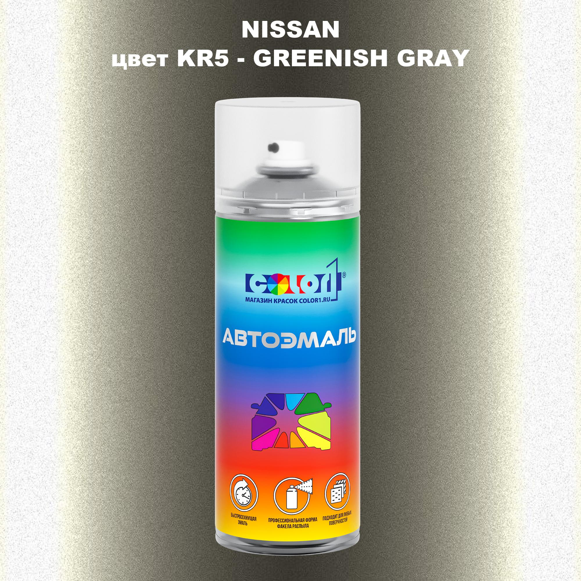 

Аэрозольная краска COLOR1 для NISSAN, цвет KR5 - GREENISH GRAY, Зеленый