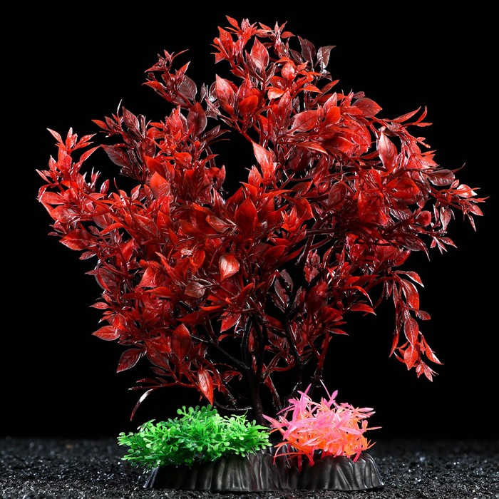 фото Растение искусственное аквариумное, 25 см, красно-зелёное пижон аква