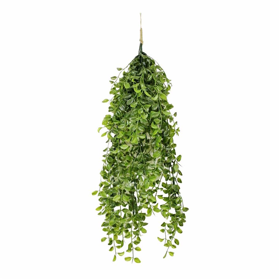 фото Искусственное растение эвкалипт конэко-о ампельный 60x30 см