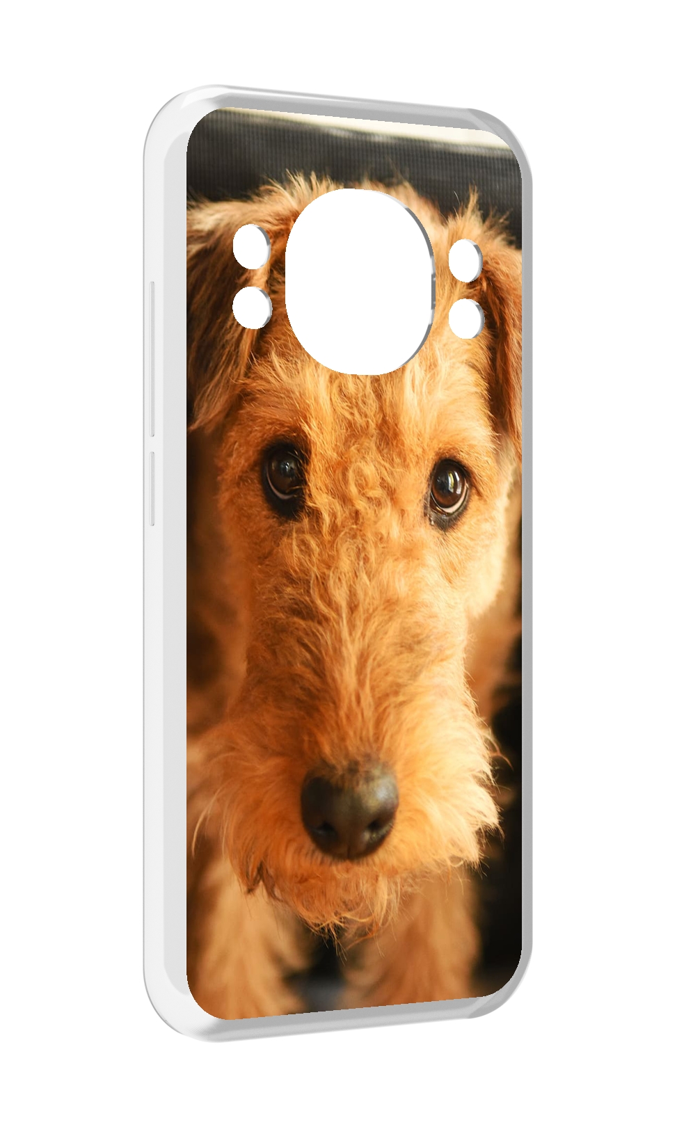 

Чехол MyPads эрдельтерьер для Doogee S98 / S98 Pro, Прозрачный, Tocco