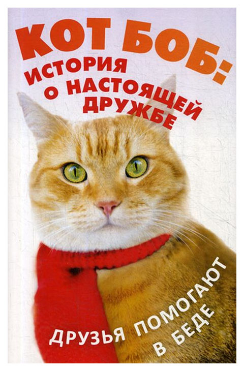 

Кот Боб: история о настоящей дружбе