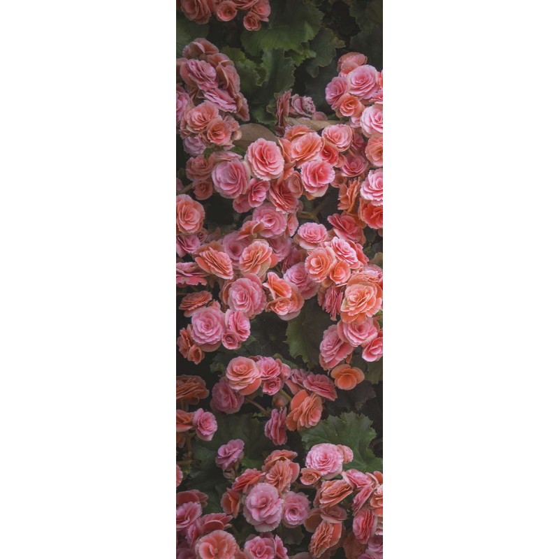 Обои Milan (Розовые цветы), М1014, 100х270 см