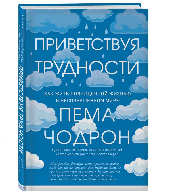 

Книга Приветствуя трудности. Как жить полноценной жизнью в несовершенном мире