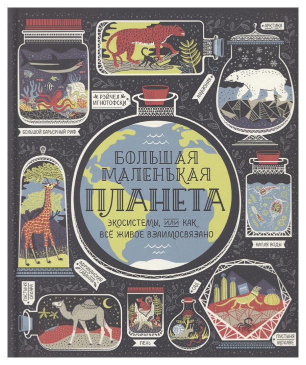 

Большая маленькая планета. Экосистемы, или Как всё живое взаимосвязано
