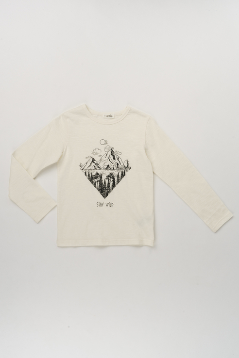 

Джемпер для мальчика Artie, цв.бежевый, р-р 122, BFd-026