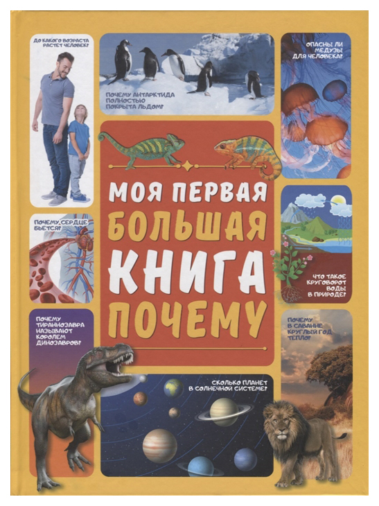 

АСТ Моя первая большая книга. Моя первая большая книга Почему