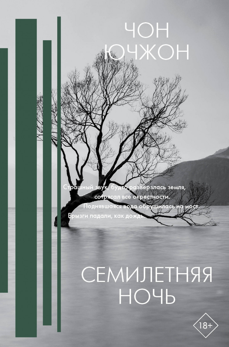 фото Книга семилетняя ночь аст