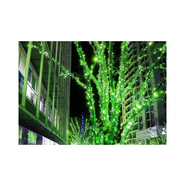 фото Гирлянда электрическая beauty led clblw-led-60-600-g laitcom