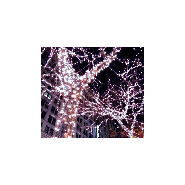 фото Гирлянда электрическая beauty led clt-led-100-1000-w laitcom