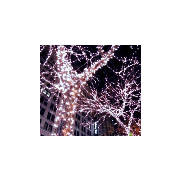 фото Гирлянда электрическая beauty led clblw-led-100-1000-w laitcom