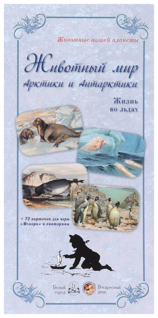 

Животный мир Арктики и Антарктики. Жизнь во льдах