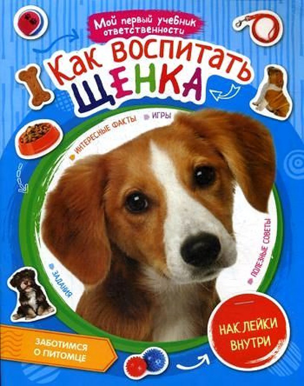 

Как воспитать щенка
