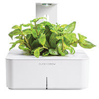 

Лампа для смартпота