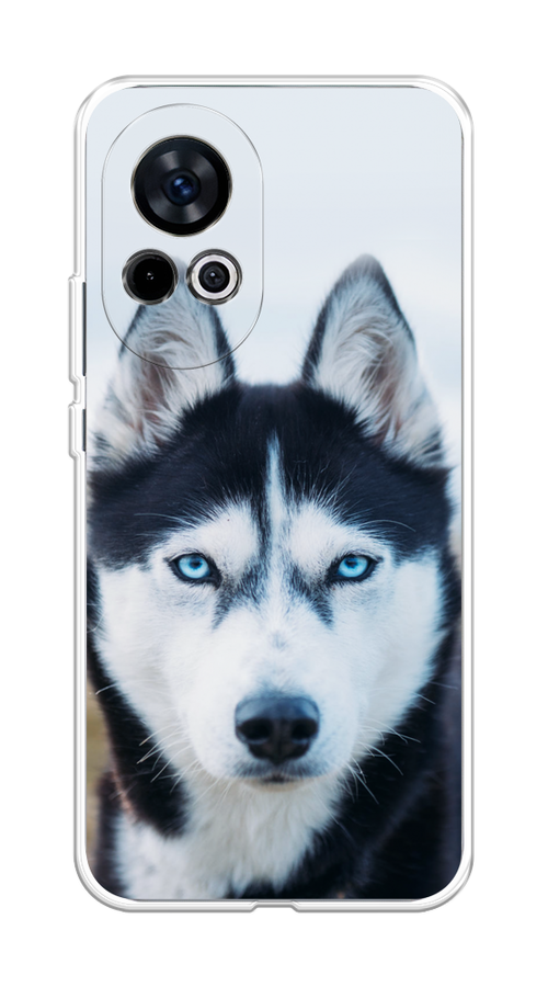 

Чехол на Huawei Nova 12 "Хаски 2", 6123050-1