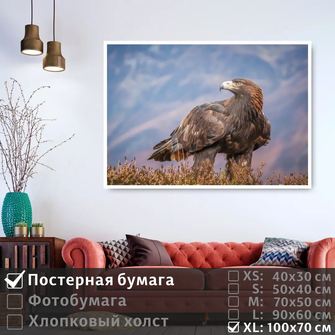 

Постер на стену ПолиЦентр Хищная птица смотрит вдаль 100х70 см, ХищнаяПтицаСмотритВдаль1