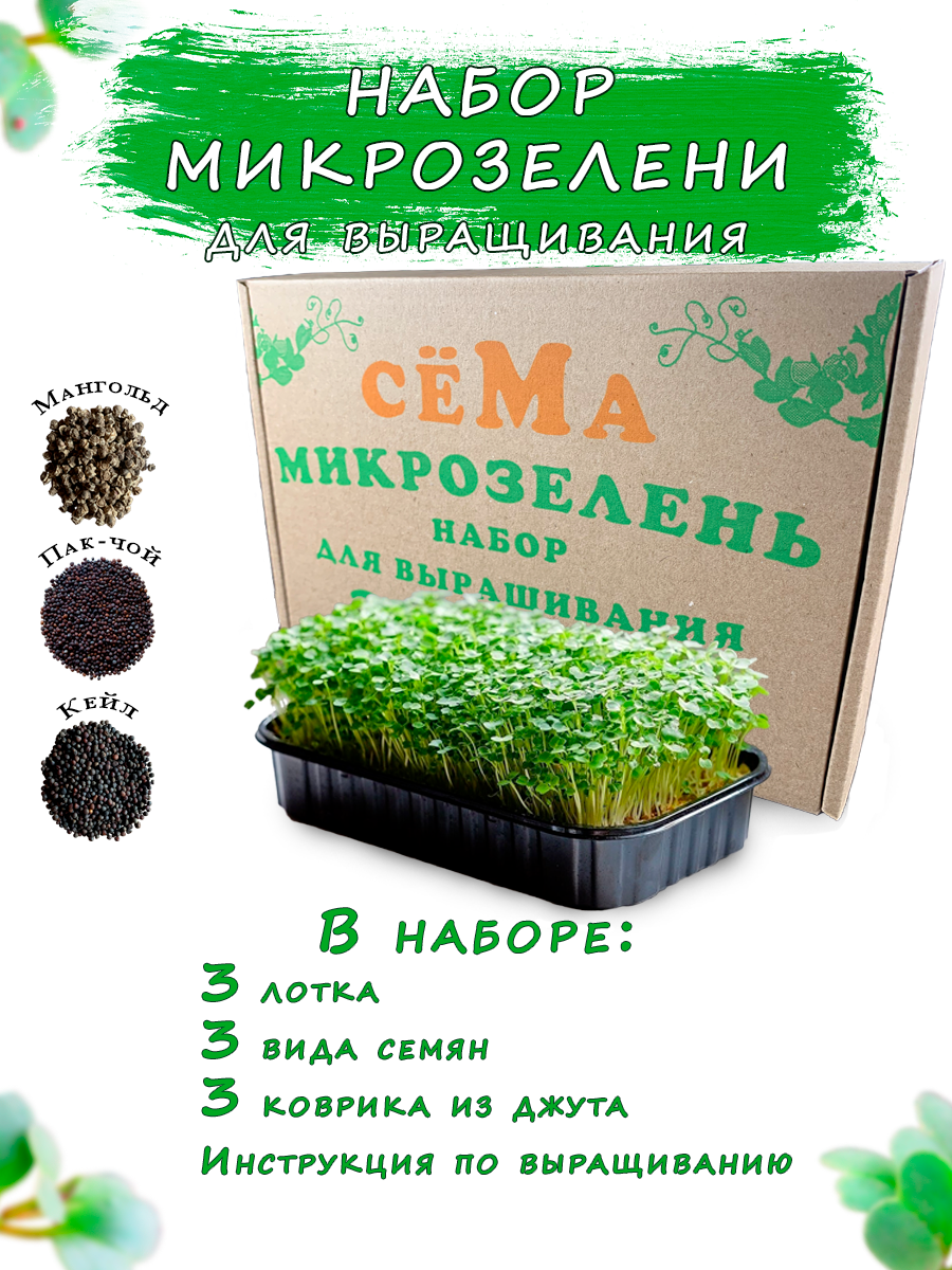 Набор для выращивания сёМа Микромагия MN-0304 мангольд пак-чой кейл 425₽