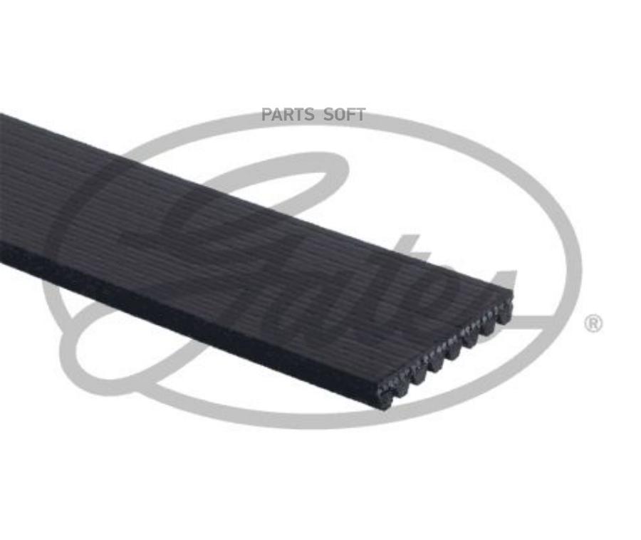 

Ремень поликлиновой 8pk1095 volvo b12 Gates 8PK1095HD