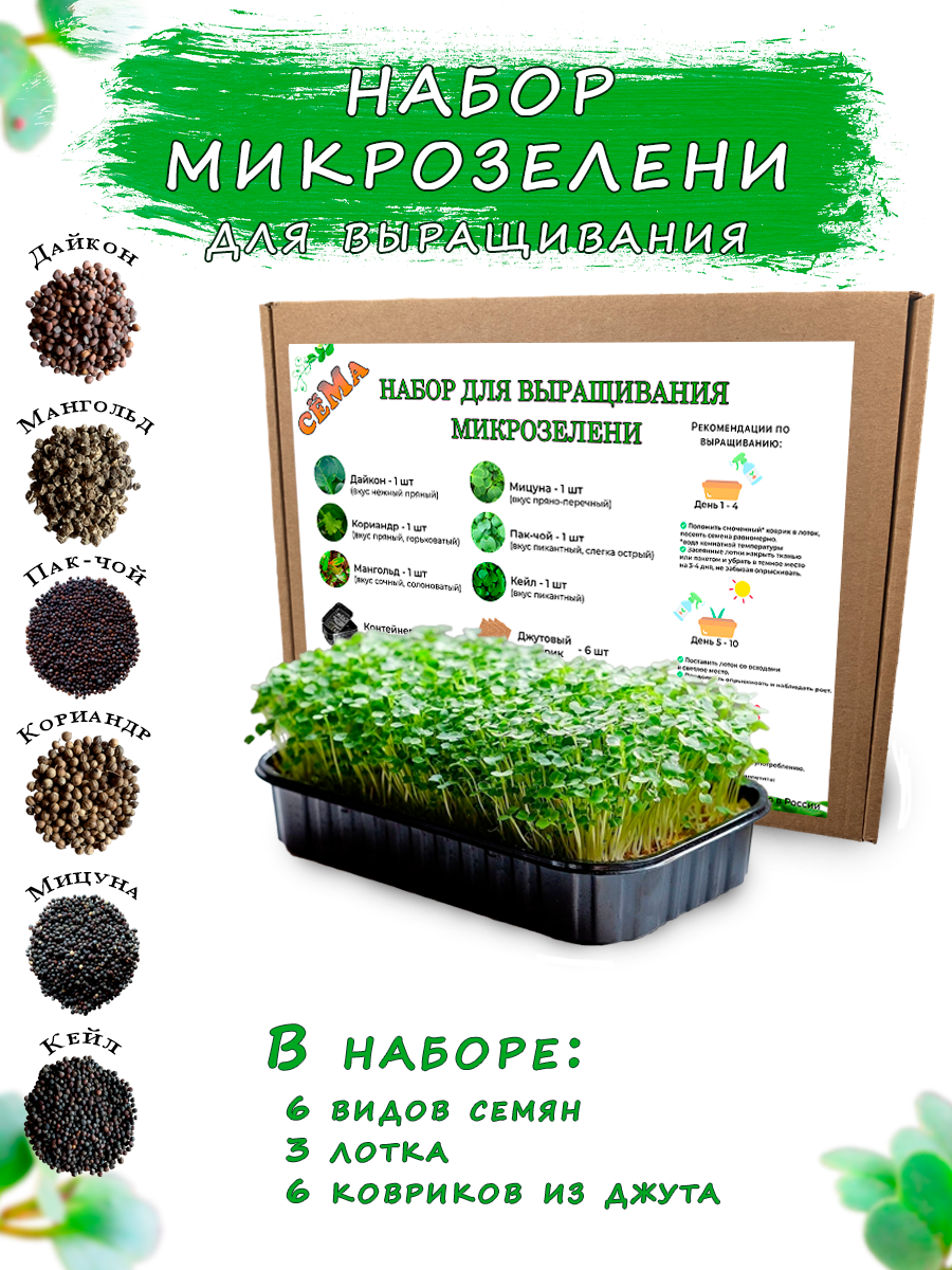 Набор для выращивания сёМа MN-0602 6 видов растений
