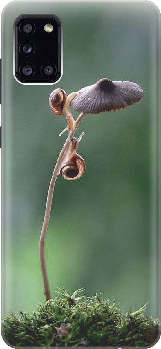 

Силиконовый чехол на Samsung Galaxy A31 "Две улитки", Зеленый;коричневый, 7109