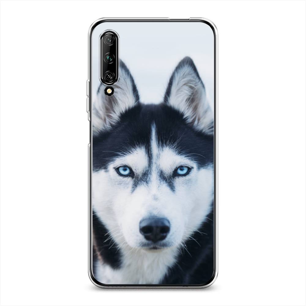 

Чехол на Huawei Y9s "Хаски 2", Синий;белый, 611150-1