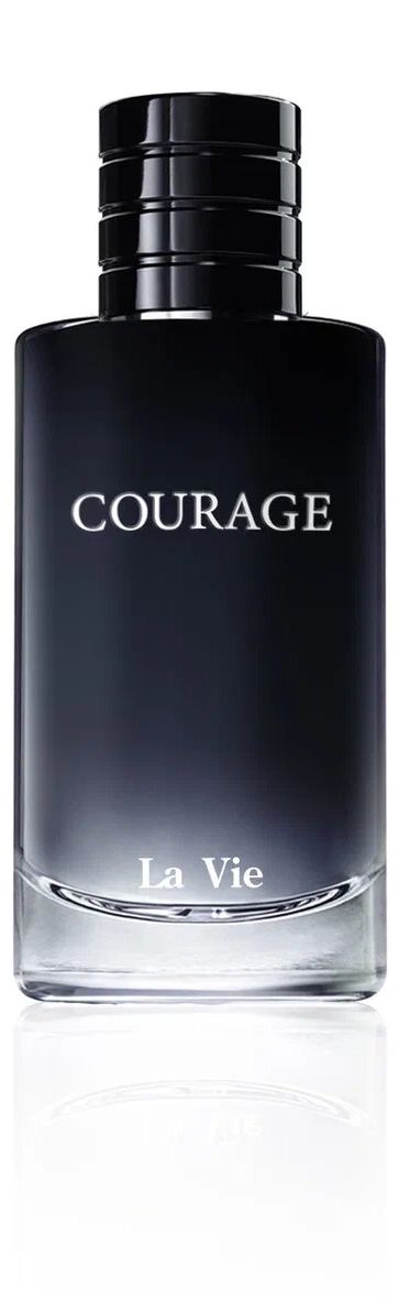 Парфюмерная вода DILIS Courage, 100 мл