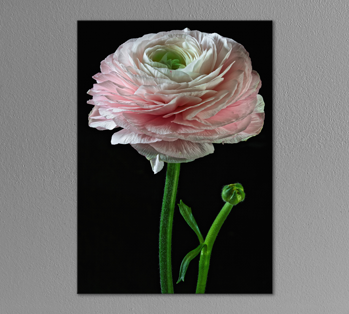 

Картина интерьерная на холсте Poly Print Art Нежная роза 40х60 см.