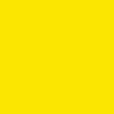 

Фон пластиковый 1x1,3м Superior Sunflower желтый 1236, SPR811236