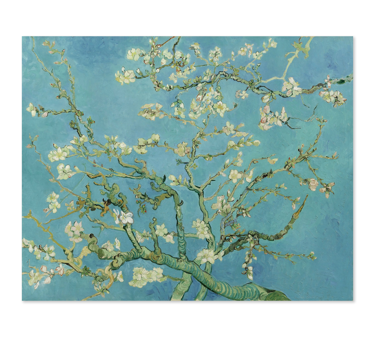 

Картина интерьерная на холсте Poly Print Art Цветущий миндаль 80х60 см.