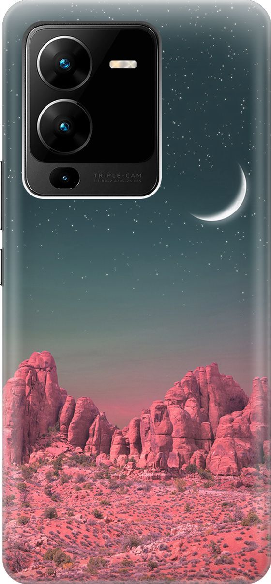Силиконовый чехол на Vivo V25 Pro 5G с принтом 