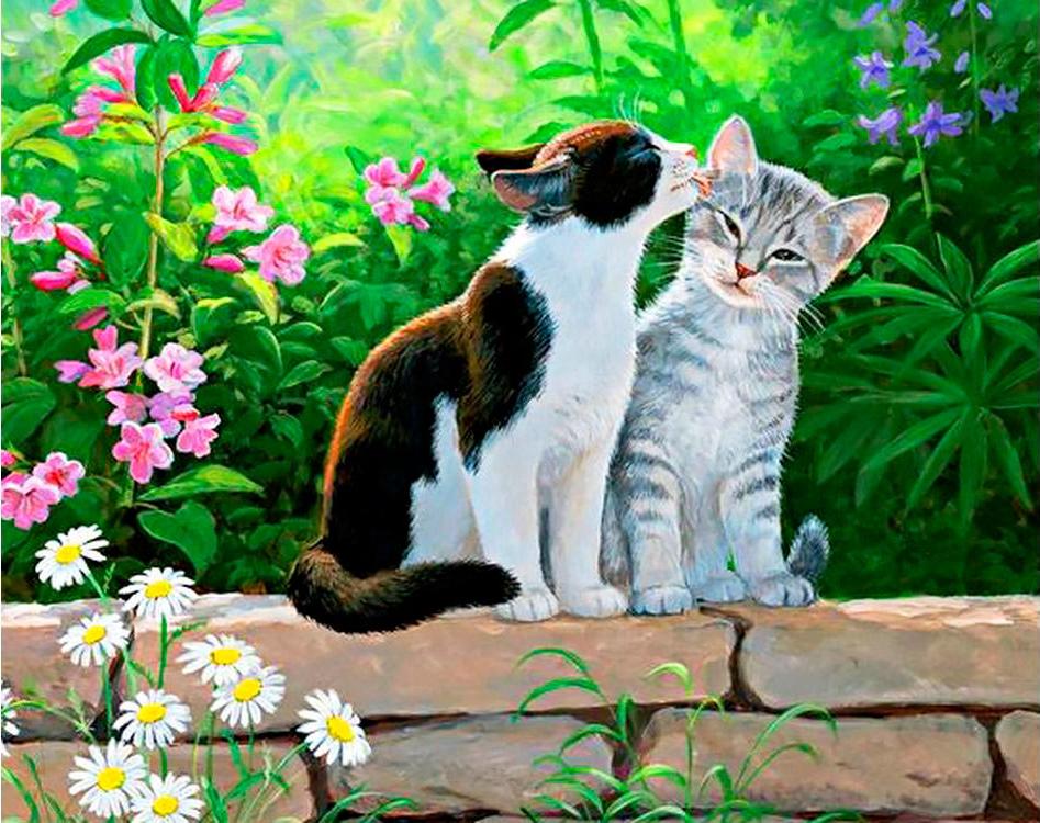 

Алмазная вышивка Гранни Кошачья нежность, 38x48 см, Кошачья нежность
