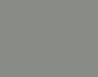 

Фон пластиковый Vibrantone 1x1,4м Dark Grey, темно-серый, VBRTP1188