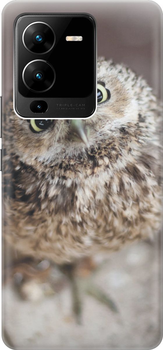 Силиконовый чехол на Vivo V25 Pro 5G с принтом 