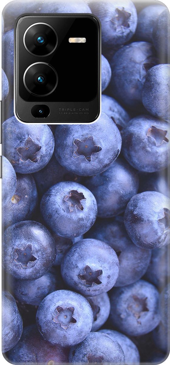 Силиконовый чехол на Vivo V25 Pro 5G с принтом 