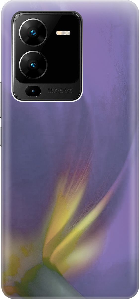 Силиконовый чехол на Vivo V25 Pro 5G с принтом 