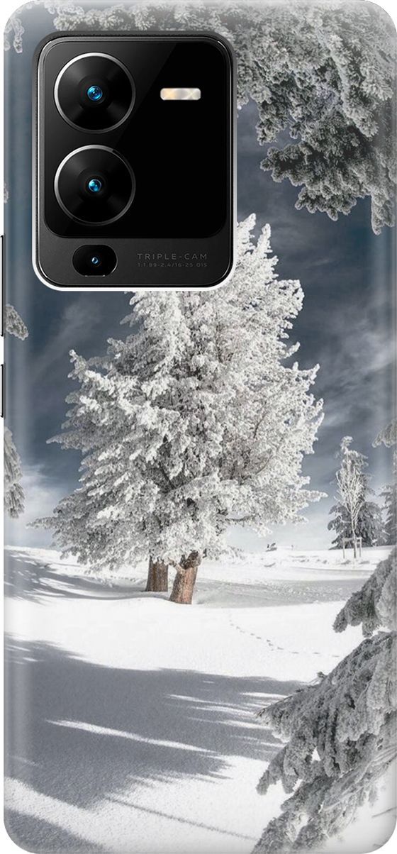 Силиконовый чехол на Vivo V25 Pro 5G с принтом 