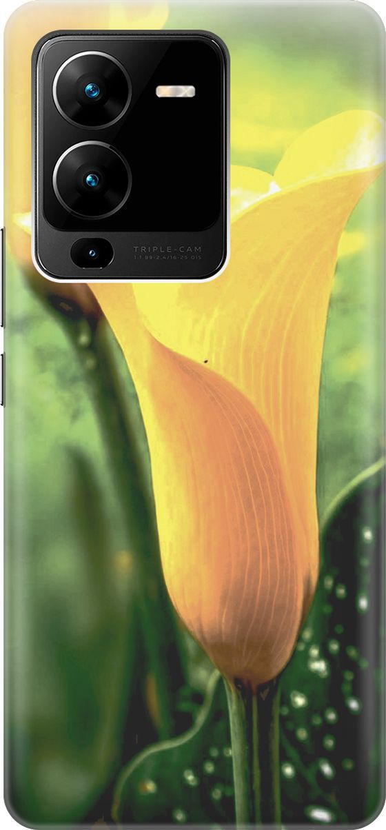 Силиконовый чехол на Vivo V25 Pro 5G с принтом 