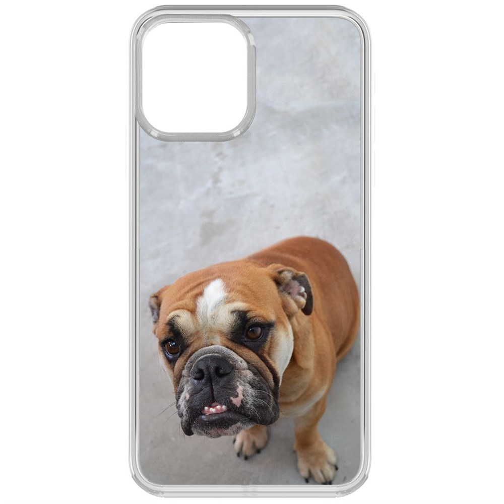 

Чехол-накладка Krutoff Clear Case Английский бульдог для iPhone 13 Pro, Прозрачный