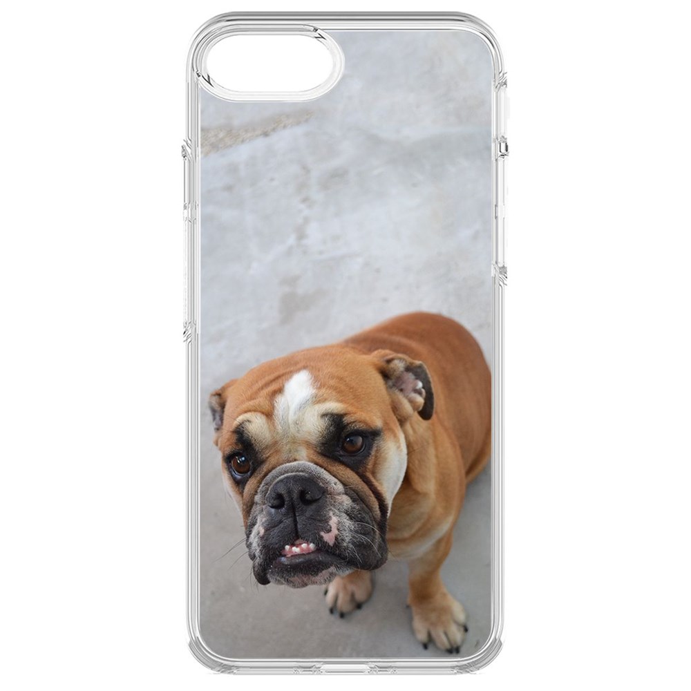 

Чехол-накладка Krutoff Clear Case Английский бульдог для iPhone 7/8/SE
