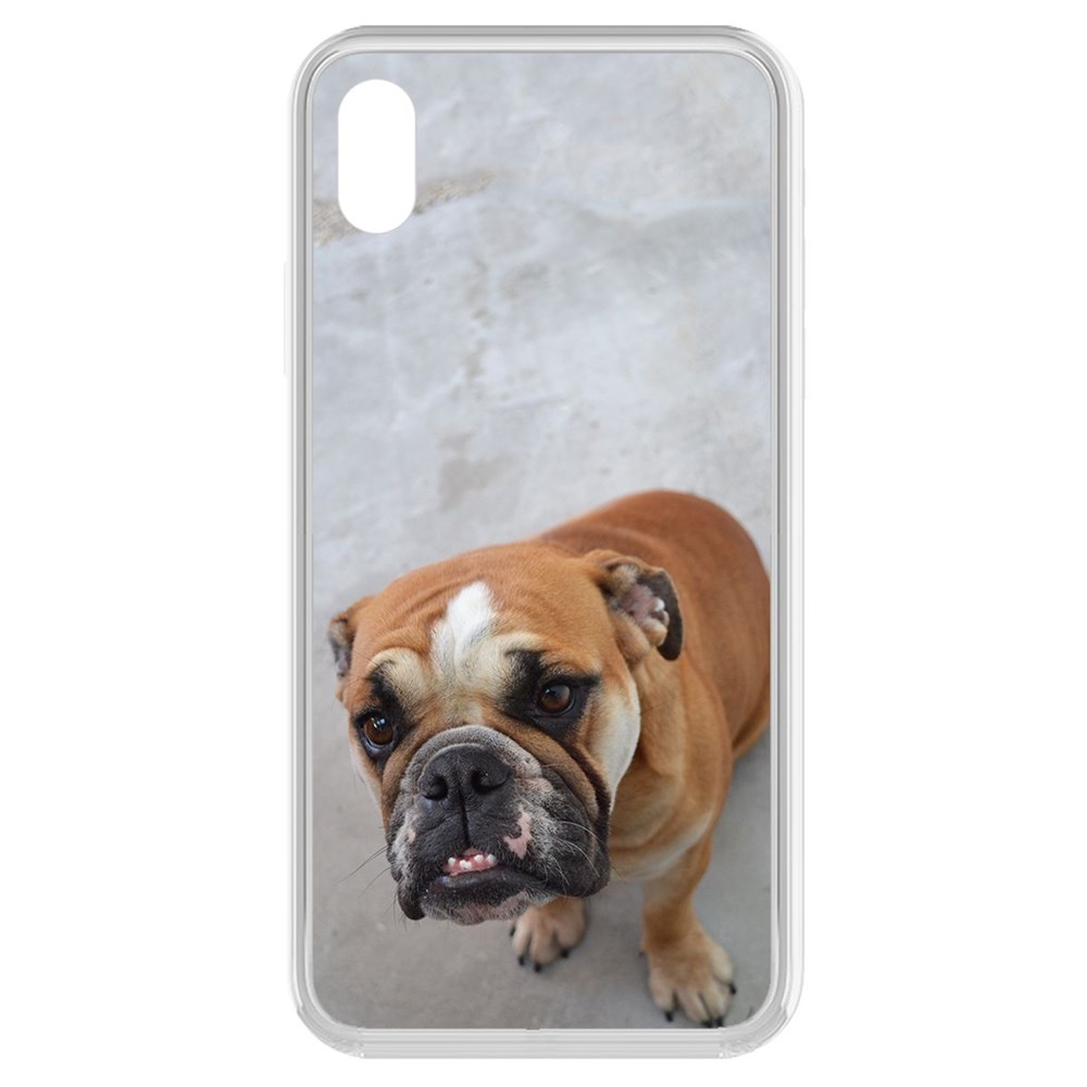 

Чехол-накладка Krutoff Clear Case Английский бульдог для iPhone XR, Прозрачный