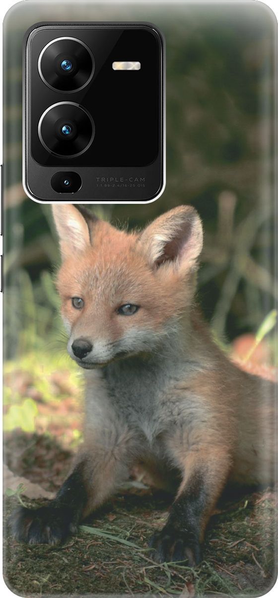 Силиконовый чехол на Vivo V25 Pro 5G с принтом 