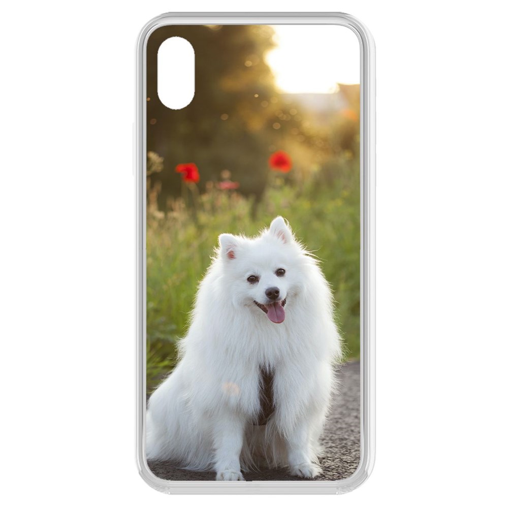 

Чехол-накладка Krutoff Clear Case Белый шпиц для iPhone XR, Прозрачный