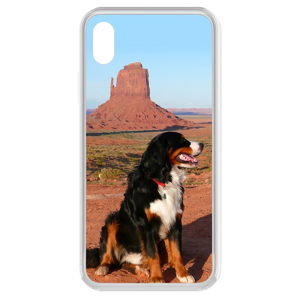 

Чехол-накладка Krutoff Clear Case Бернская овчарка для iPhone XR, Прозрачный