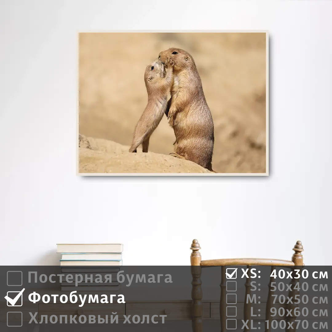 

Постер на фотобумаге ПолиЦентр Ребенок суриката целует свою маму 40х30 см, РебенокСурикатаЦелуетСвоюМаму