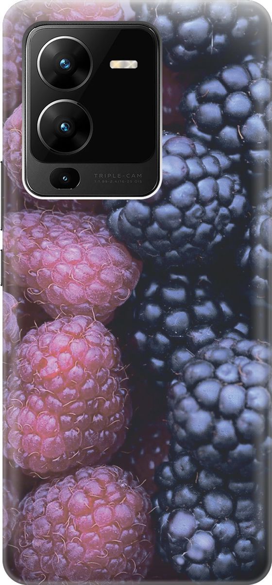 Силиконовый чехол на Vivo V25 Pro 5G с принтом 