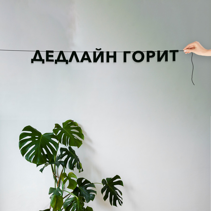 

Гирлянда-растяжка Дедлайн горит VN770 черная, Черный, Дедлайн горит