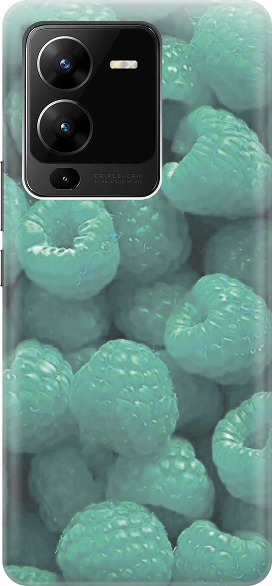 Силиконовый чехол на Vivo V25 Pro 5G с принтом 