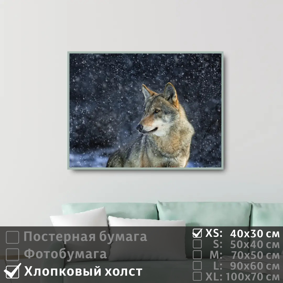 

Постер на холсте ПолиЦентр Одинокий волк в зимнем лесу 40х30 см, ОдинокийВолкВЗимнемЛесу
